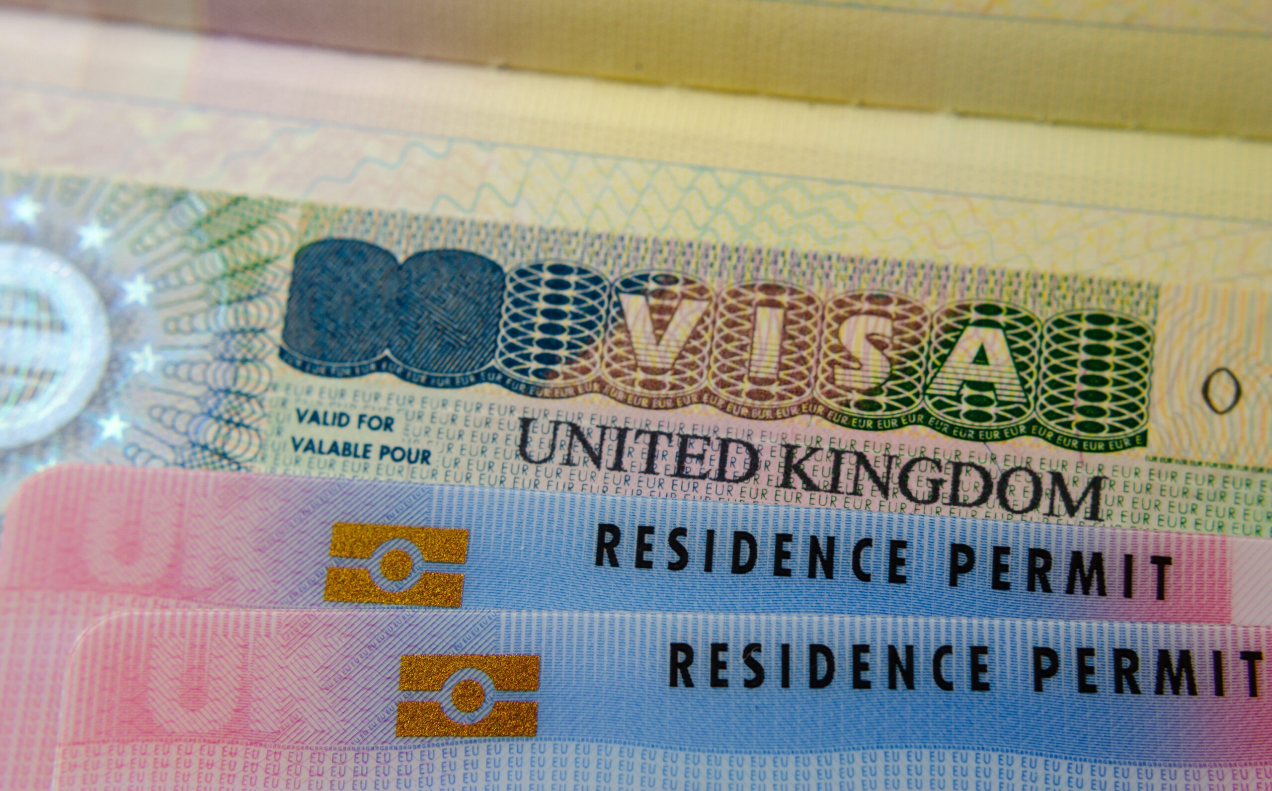 Guide to the Senior or Specialist Worker Visa: Essential Insights by GSC Solicitors