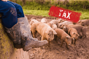 Image of Farmer with word Tax: indicating the new changes to inheritance tax and impact on farmers